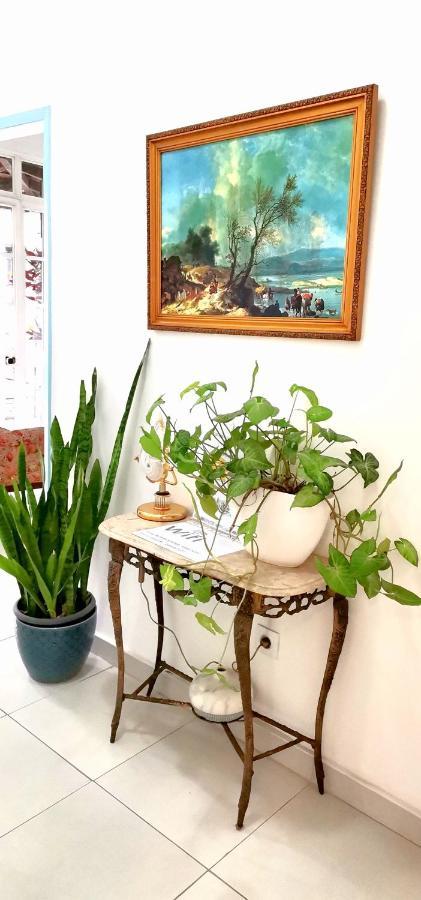 Home & Flower - Private Bedrooms Funchal Экстерьер фото