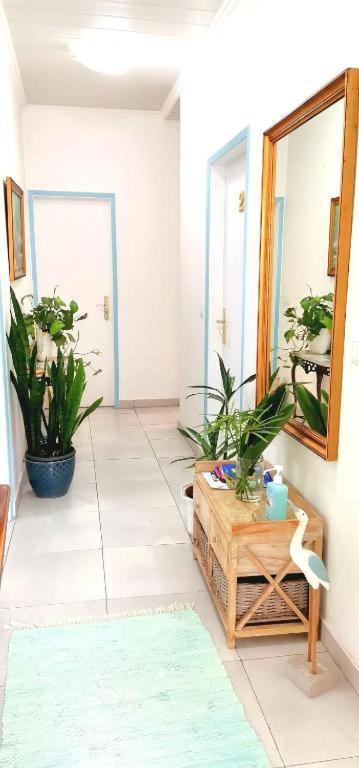 Home & Flower - Private Bedrooms Funchal Экстерьер фото