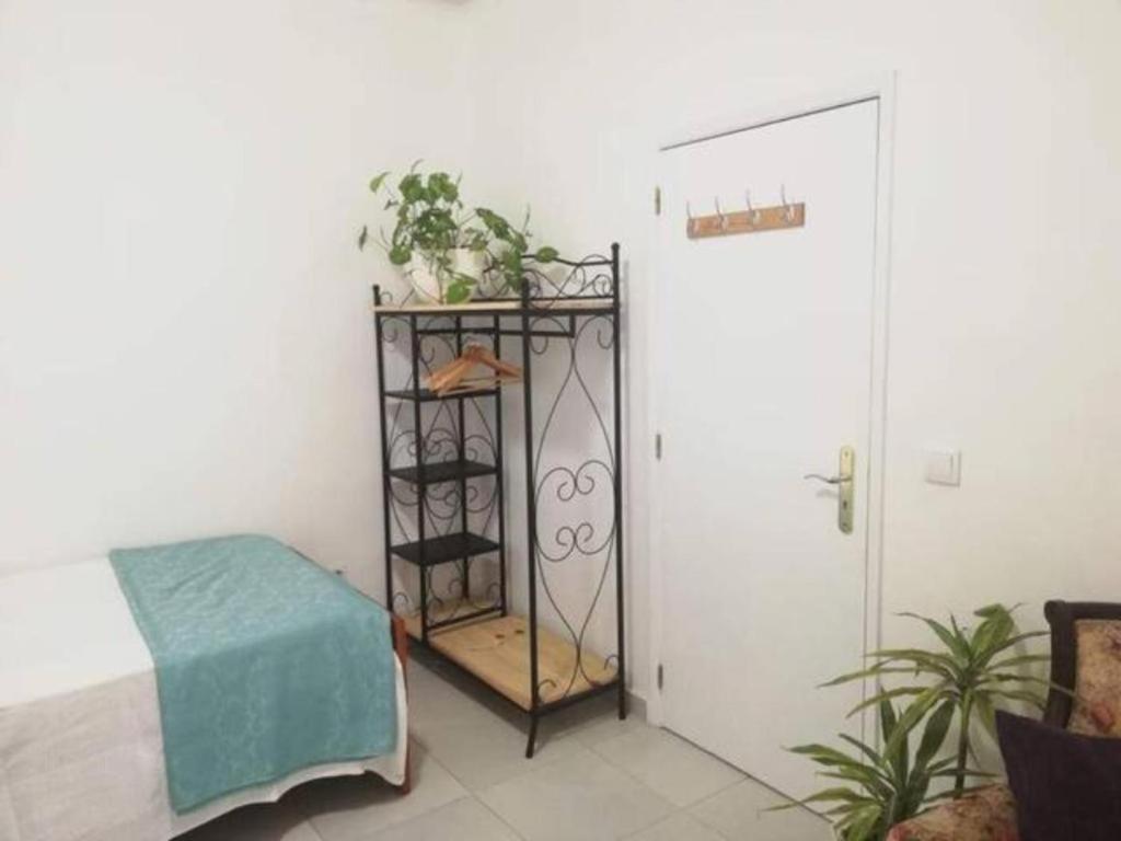 Home & Flower - Private Bedrooms Funchal Экстерьер фото